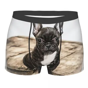Bulldog Francês Preto Cachorro Cuecas Breathbale Calcinha Homem Cueca De Impressão Shorts Boxer Briefs